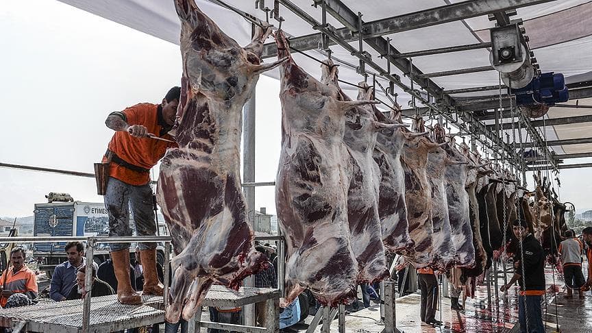 Kesim Fiyatlarındaki Düşüş Üreticileri Tehdit Ediyor