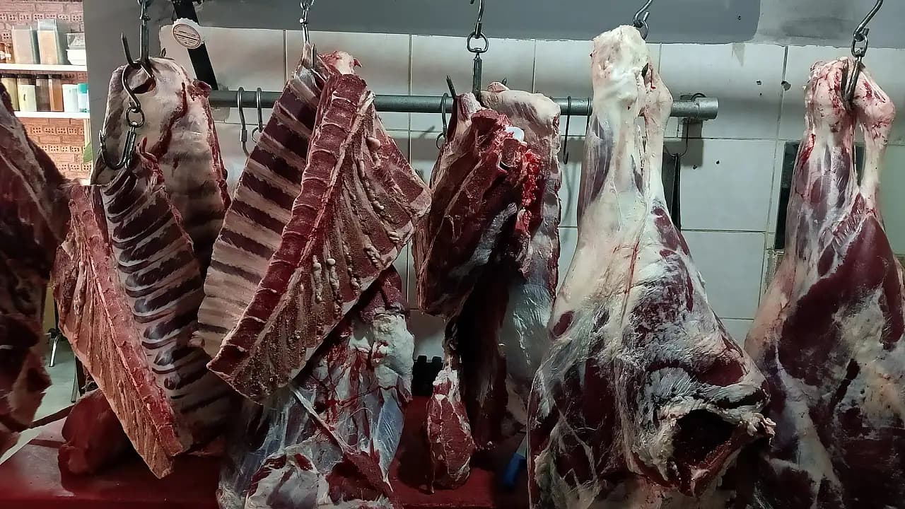 ESK İthal Kozunu Oynadı Ama Hayvanlar Ortada Yok!
