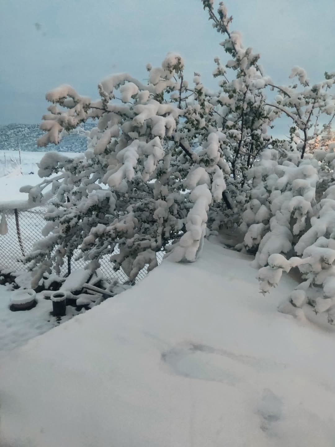 Konya’da Kar Yağışı Sürecek Mi? İşte Son Durum!