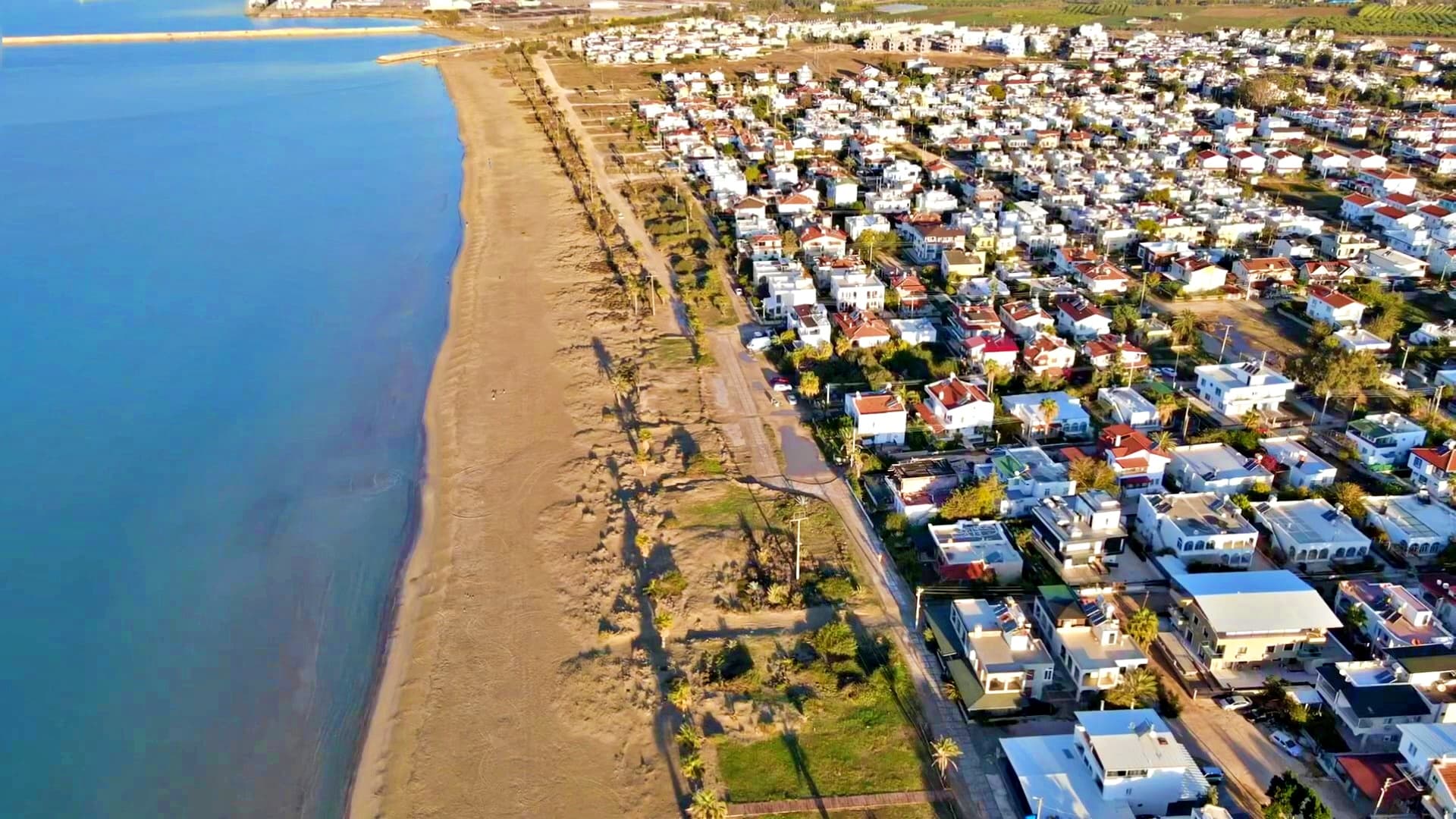 Mersin Sahilinde Sivrisinek Kâbusu: Vatandaşlar İsyanda!