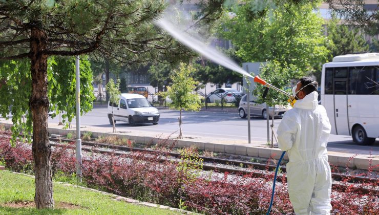 Selçuklu’da Haşerelere Karşı Mücadele Sürüyor