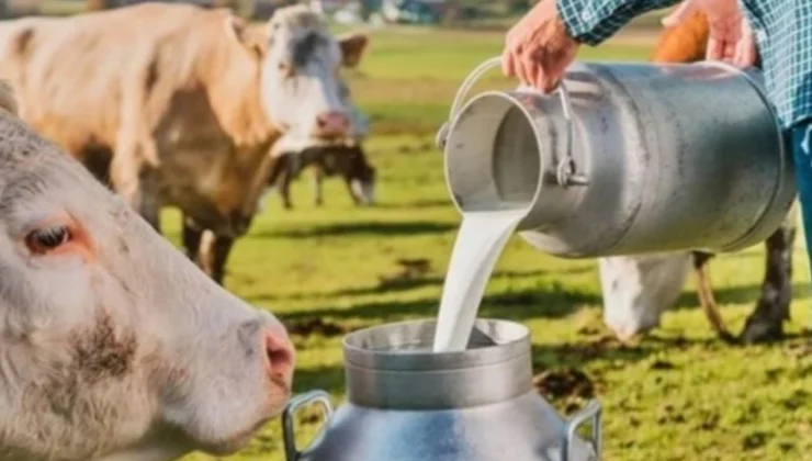 1 Litre Sütün Maliyeti Ne Kadar? Süt Konseyi Açıkladı