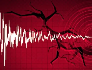 Bodrum’da korkutan Deprem: Halk Sokaklara Kaçtı