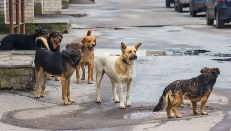 Başkan Kılca: Sorunu Çözmek İçin Durmaksızın Çalışıyoruz!